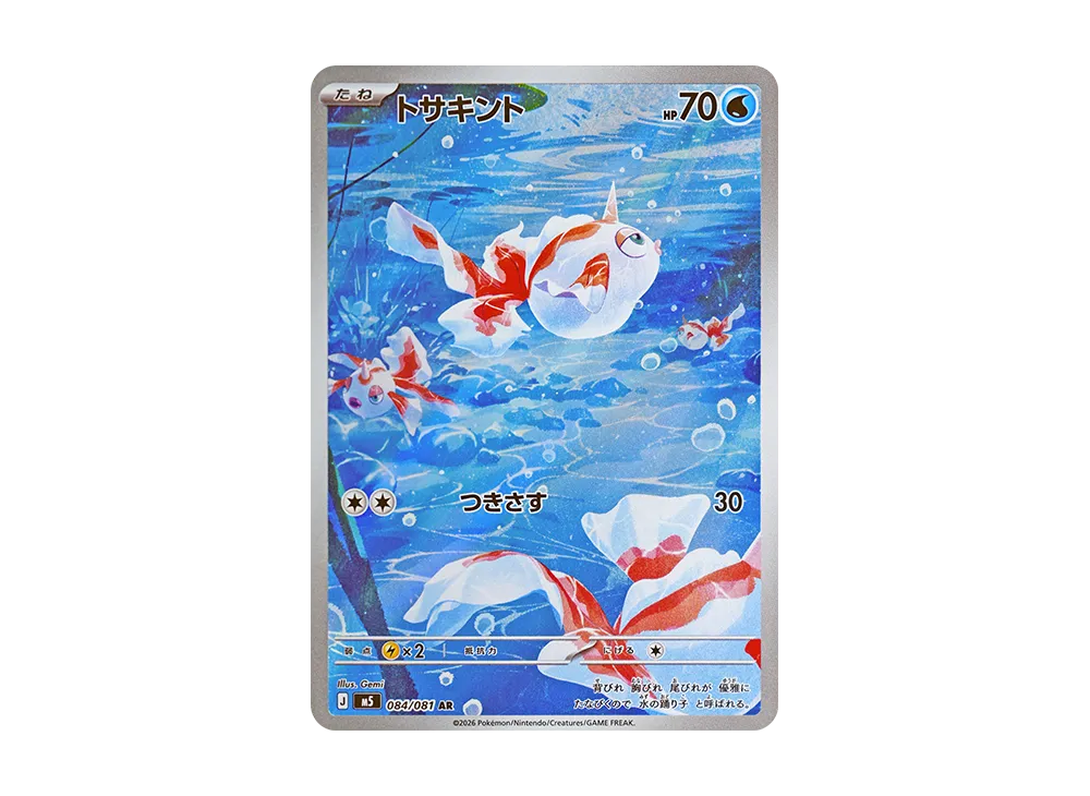角金鱼 AR