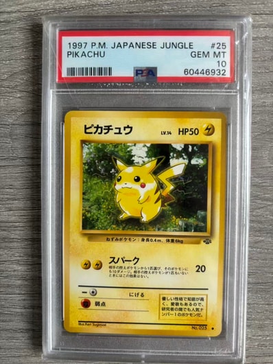 PSA10皮卡丘 ● 旧裏（扩展包「宝可梦ジャングル」）