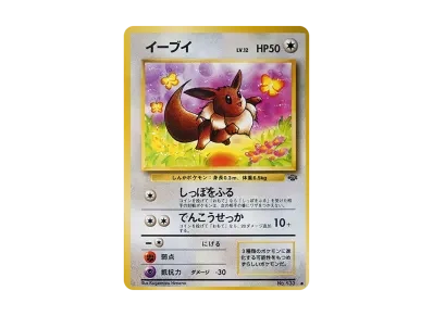 伊布 ● 旧裏（扩展包「宝可梦ジャングル」）